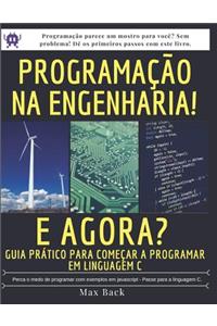 Programação na Engenharia! E agora?