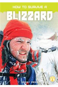 How to Survive a Blizzard