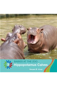 Hippopotamus Calves