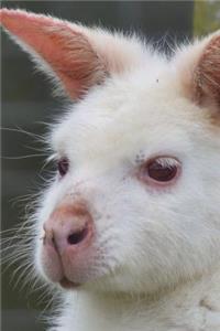 Albino Wallaby Journal