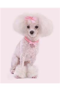 Poodle