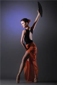 Flamenco Journal