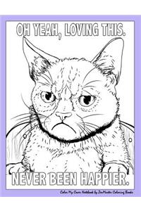 Color My Cover Notebook (Grumpy at School)