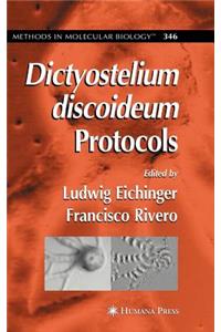 Dictyostelium Discoideum Protocols