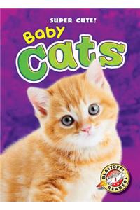 Baby Cats