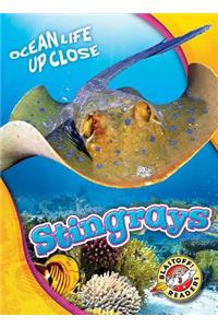 Stingrays