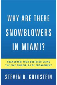 Why Are There Snowblowers in Miami?