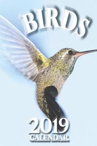 Birds 2019 Calendar (UK Edition)