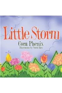 Little Storm