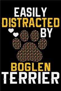 Easily Distracted by Boglen Terrier