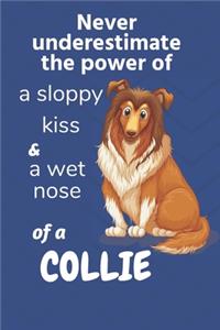 Never underestimate the power of a sloppy kiss and a wet nose of a Collie