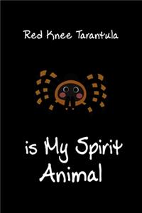 Red Knee Tarantula is My Spirit Animal