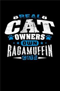 Real Cat Owners Own Ragamuffin Cats