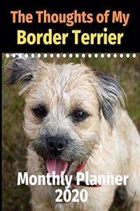 The Thoughts of My Border Terrier