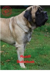 Mastiff Sketchbook
