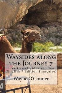 Waysides along the Journey 7