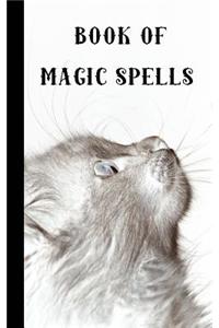 Book of Magic spells