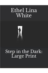 Step in the Dark: Large Print