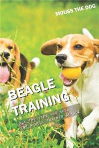 Beagle Training