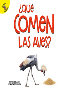 ¿qué Comen Las Aves?