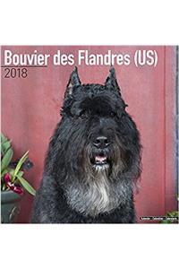 Bouvier des Flandres (US) Calendar 2018
