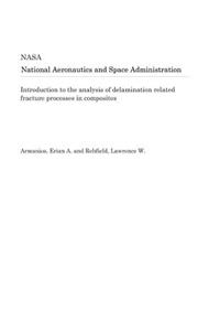 Introduction to the Analysis of Delamination Related Fracture Processes in Composites