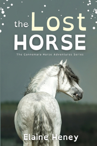 Lost Horse - Dyslexia Friendly