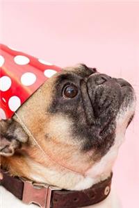 Pug Dog Wearing a Party Hat Cute Pet Journal