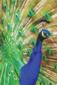 Peacock Feathers - Lined Notebook with Margins