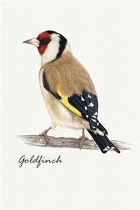 Goldfinch