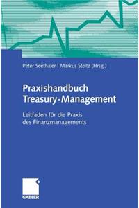 Praxishandbuch Treasury-Management