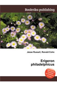 Erigeron Philadelphicus