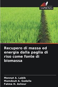 Recupero di massa ed energia dalla paglia di riso come fonte di biomassa