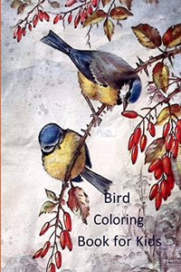 Bird Coloring Book for Kids