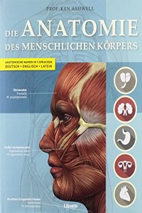 Der Menschliche Korper