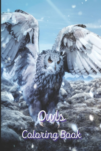 Owls Coloring Book