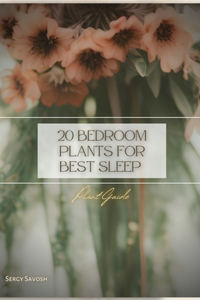 20 Bedroom Plants for Best Sleep