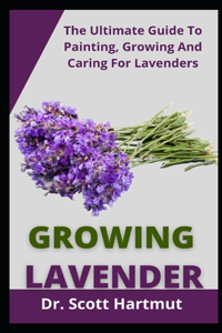 Growing lavender