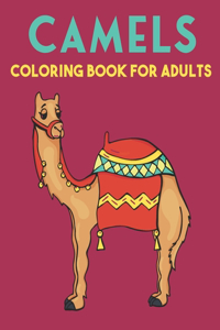Camels Coloring Book For Adults