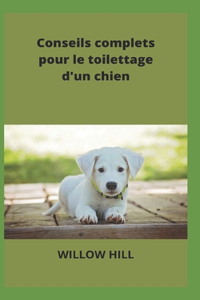 Conseils complets pour le toilettage d'un chien