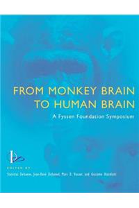 From Monkey Brain to Human Brain: A Fyssen Foundation Symposium