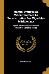 Manuel Pratique De Viticulture Pour La Reconstitution Des Vignobles Méridionaux