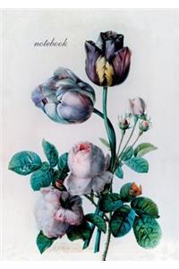 Notebook: Redoute (Tulip)