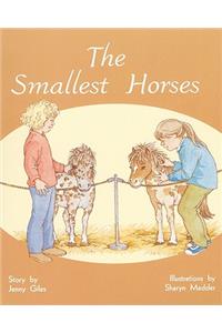 Smallest Horses