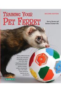Training Your Pet Ferret