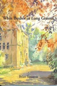 Whin Bushes in Long Grasses