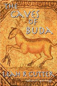 The Caves of Buda