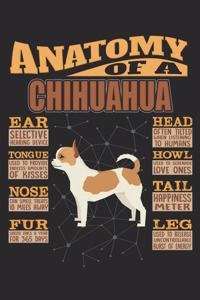Anatomy Of A Chihuahua