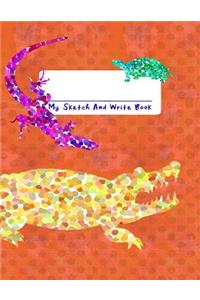 My Sketch and Write Book