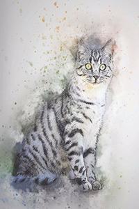 2019-2020 Academic Planner Weekly and Monthly Curious Cat